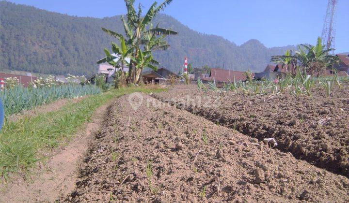 Tanah Udara Dingin 300m² Tawangmangu Karanganyar  2