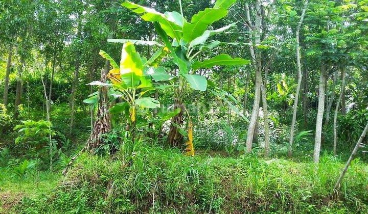 Tanah Tepi Jl Kerjo sambirejo Kerjo Karanganyar 2