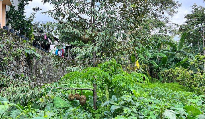 Rumah Siap Huni Bonus Kebun Durian Karanganyar  2