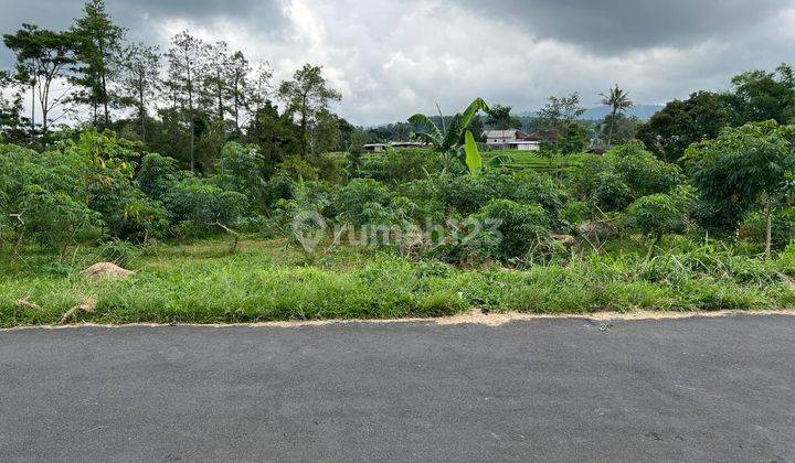 Tanah Strategis 2492m² Dibangun Villa Karangpandan 2