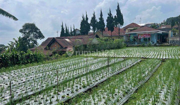 Tanah Strategis Udara Dingin Tawangmangu Karanganyar 1