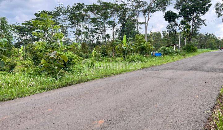 Tanah 1 Hektar Tepi Jalan Raya Kerjo Karanganyar  2