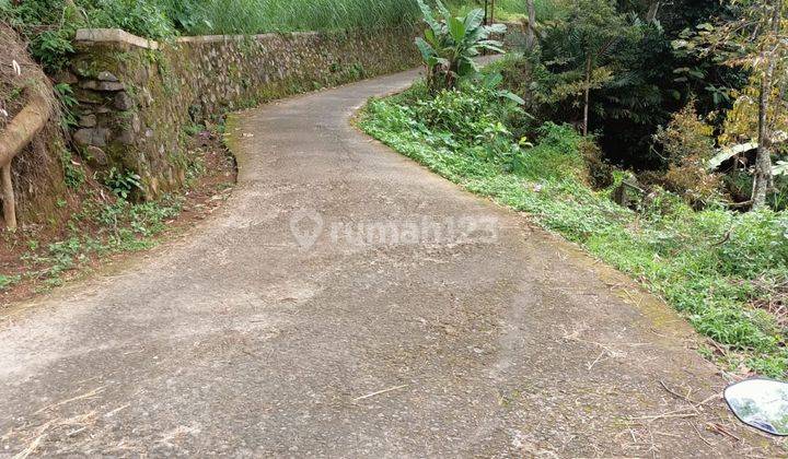 Kebun Durian Siap Panen 3038m Karangpandan  2