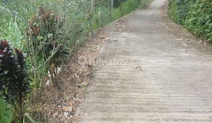 Tanah Udara Dingin Dekat Candi Cetho Jenawi Karanganyar