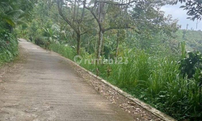 Tanah Udara Dingin Dekat Candi Cetho Jenawi Karanganyar 2