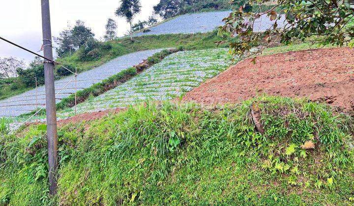 Tanah View Tanpa Terhalang Dekat Candi Cetho Karanganyar 1