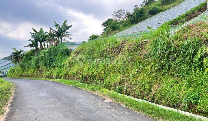 Tanah View Tanpa Terhalang Dekat Candi Cetho Karanganyar 2