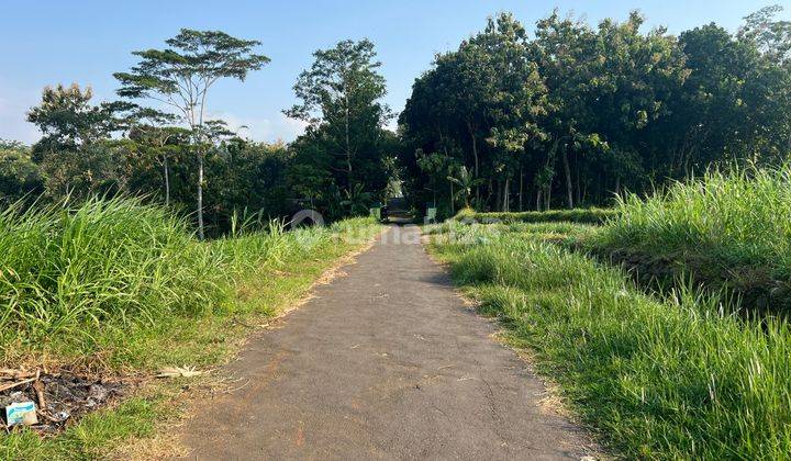 Tanah Datar View Gunung Lawu Kedawung Sragen 1