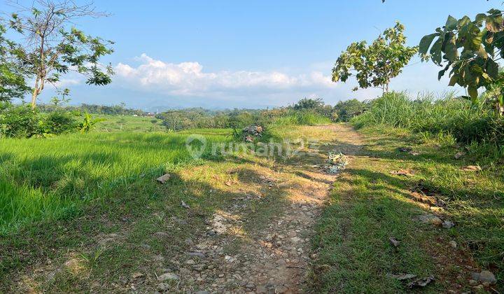 Tanah Datar View Gunung Lawu Kedawung Sragen 2