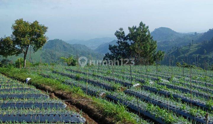 Tanah 1200m² Siap Bangun Villa Dekat Candi Cetho Karanganyar 1