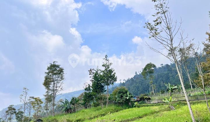 1 Hectare Land with Mount Lawu View in Ngargoyoso, Karanganyar