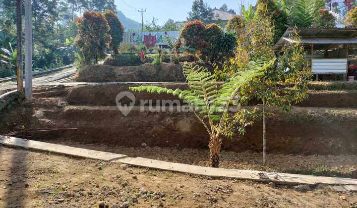 Tanah Cocok Dibangun Wisata Kemuning, Karanganyar (Solo) 1