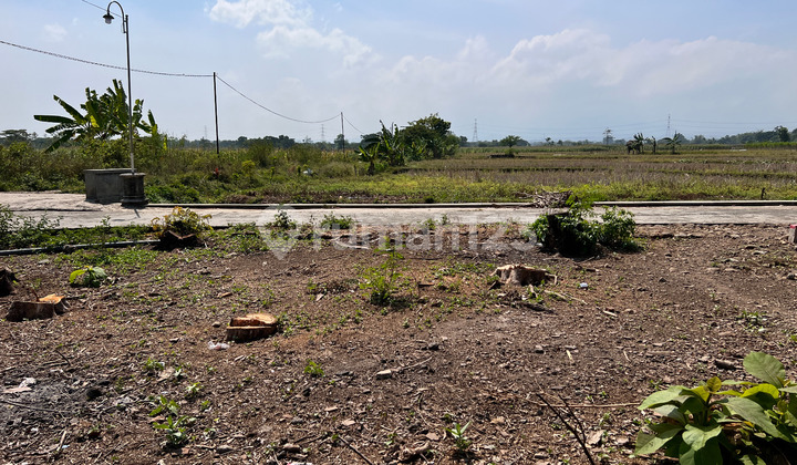 Land 150 M East of Karangpelem Kedawung Health Center