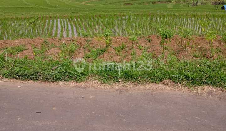 Tanah Datar 3416m View Solo Raya Kerjo, Karanganyar Tanah Datar 3416m View Solo Raya Kerjo, Karanganyar