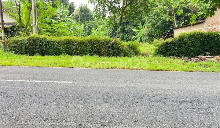 Tanah 1333M² Strategis Tepi Jl Raya Mojogedang Karanganyar Tanah 1333M² Strategis Tepi Jl Raya Mojogedang Karanganyar