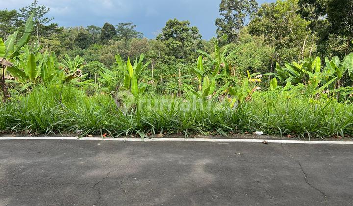 Land 2242m² Near MTA Islamic Boarding School Mojogedang