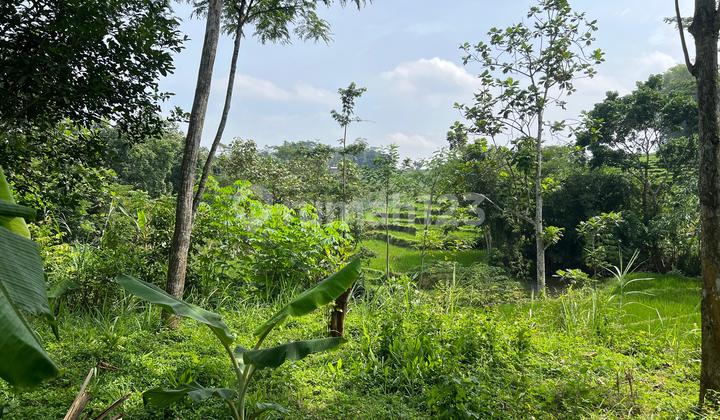 Tanah 250 Juta Timur Pasar Mojogedang, Karanganyar Tanah 250 Juta Timur Pasar Mojogedang, Karanganyar