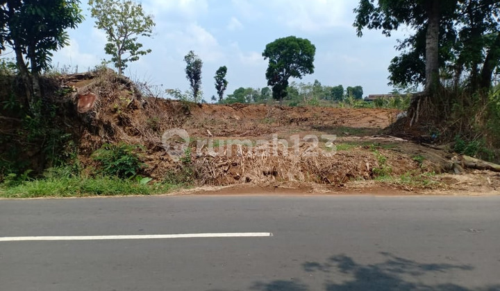 Tanah 3937m² Strategis Tepi Jl Mojogedang Karanganyar Tanah 3937m² Strategis Tepi Jl Mojogedang Karanganyar