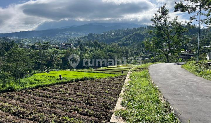 For Sale Land with Special View 325M² Karangpandan Karanganyar