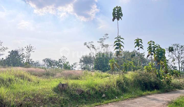 Tanah Datar 8285m² Siap Bangun Karanganyar Tanah Datar 8285m² Siap Bangun Karanganyar