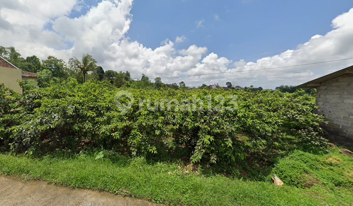 Tanah Kebun Jambu 350Jt Wisata Ngargoyoso 