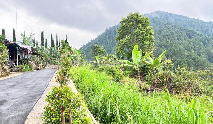 Tanah 2210M² Strategis Bangun Villa Wisata Ngargoyoso