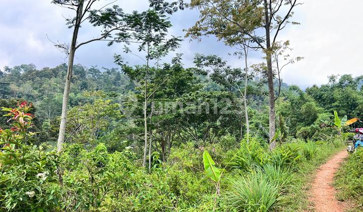 Tanah Murah Hanya 50rb/m Karanganyar (Solo) Tanah Murah Hanya 50rb/m Karanganyar (Solo)