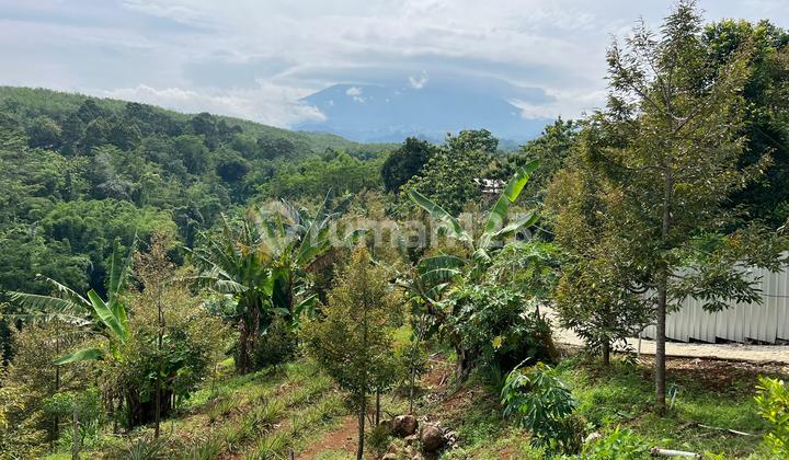 Durian Orchard Bonus Villa View of Mount Lawu Karanganyar