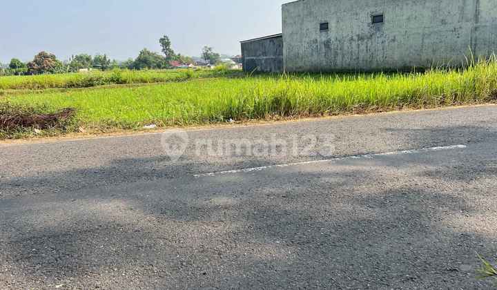 Land 2040m² Adjacent to Kedawung Main Road, Sragen