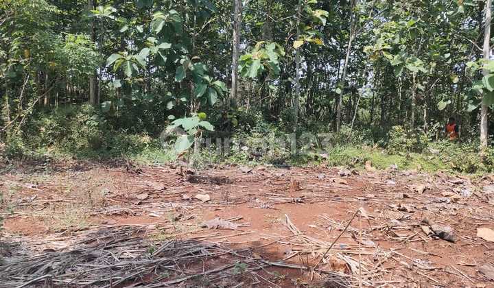 Tanah Murah 1100m2~ 100 Jt Karanganyar Tanah Murah 1100m2~ 100 Jt Karanganyar