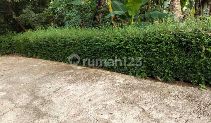 Kebun Durian 1282m² Siap Panen Utara Pasar Mojogedang  2