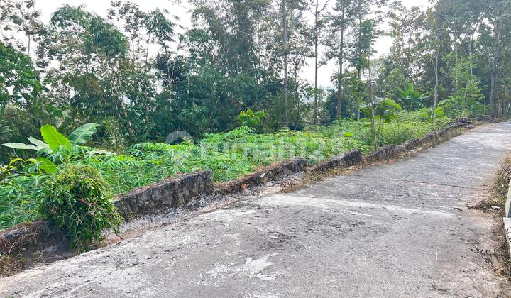 Fertile Land 6000m² Karangpandan Tourism Area Fertile Land 6000m² Karangpandan Tourism Area