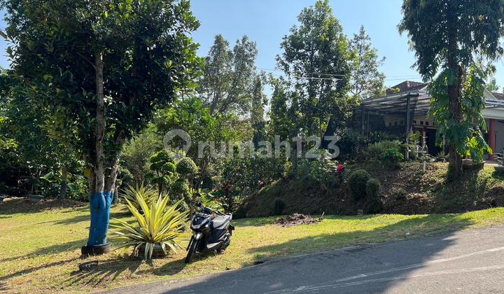 Fertile Durian Garden 1000m Kerjo, Karanganyar Fertile Durian Garden 1000m Kerjo, Karanganyar