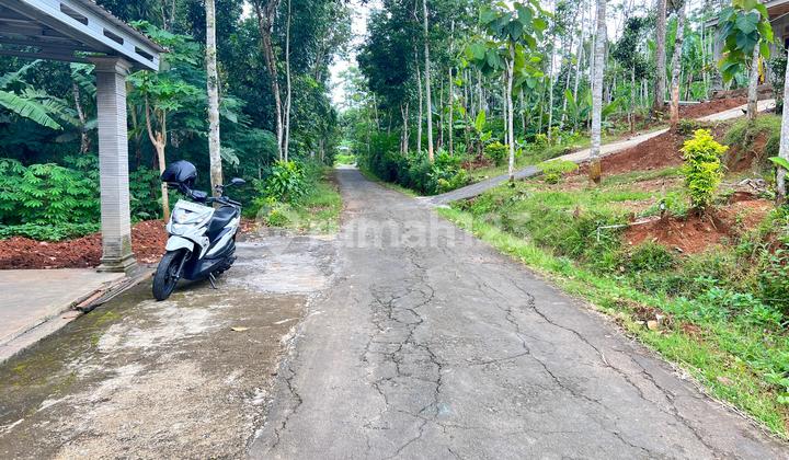 Land 200 Million Suitable for Residence Karangpandan Land 200 Million Suitable for Residence Karangpandan