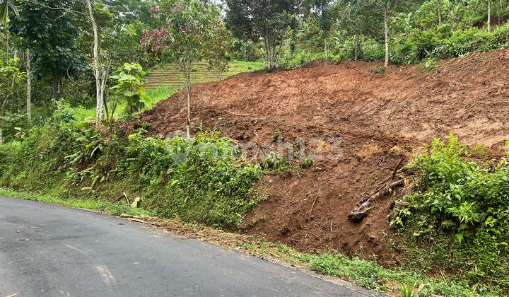 Kebun Alpukat 1200m Jalan DPU Ngargoyoso Kebun Alpukat 1200m Jalan DPU Ngargoyoso