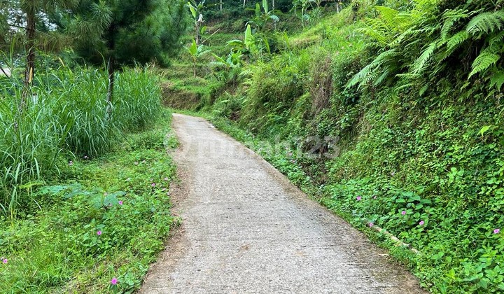Tanah 350Jt Dekat Wisata Jembatan Kaca Kemuning Tanah 350Jt Dekat Wisata Jembatan Kaca Kemuning