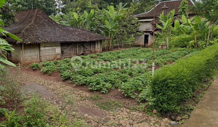 Tanah 100 Juta Dekat Pasar Mojogedang Karanganyar Tanah 100 Juta Dekat Pasar Mojogedang Karanganyar