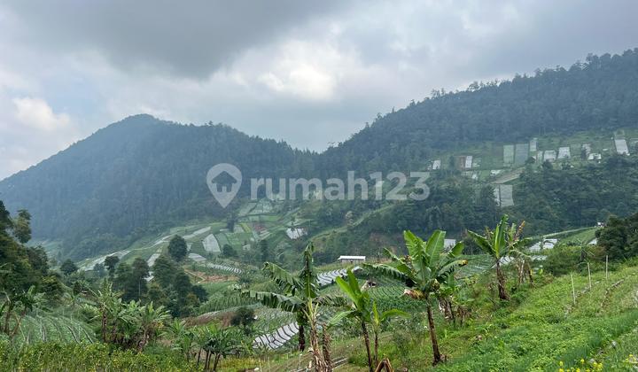 Tanah 822m² Strategis Untuk Café Tepi Jl Raya Tawangmangu  2