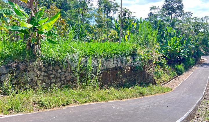 Kebun Durian 950m 250Jt Mojogedang Karanganyar