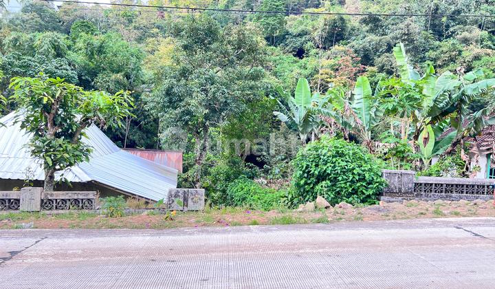 Tanah 2 Hektar Dekat Aliran Sungai Karanganyar Tanah 2 Hektar Dekat Aliran Sungai Karanganyar