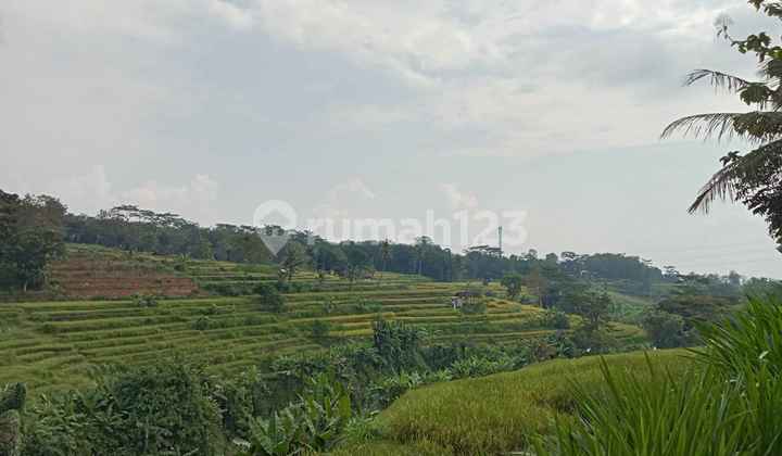 Tanah Datar View Sawah 1000m Desa Wisata Mojogedang, Karanganyar  2
