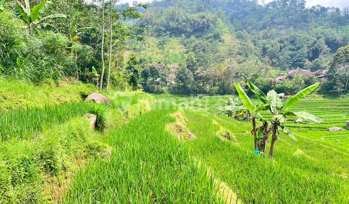 Cheap Land 3000m 200k/m Ngargoyoso, Solo