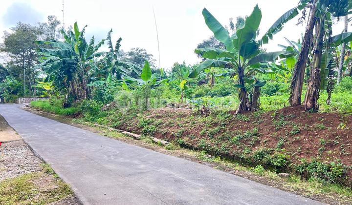 For Sale Flat Land 1300M² Kerjo North Karanganyar For Sale Flat Land 1300M² Kerjo North Karanganyar