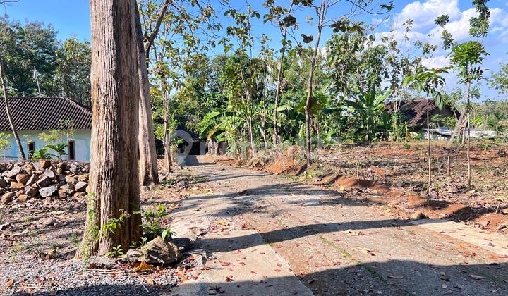 Jati Garden Land 1500m Kerjo Karanganyar Jati Garden Land 1500m Kerjo Karanganyar