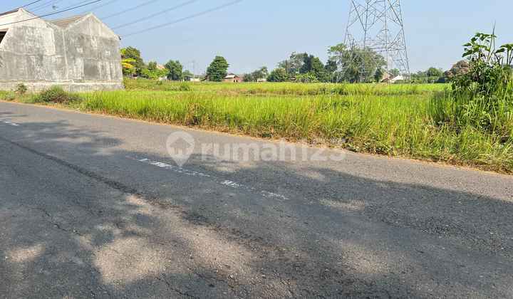 Land 2040m² Adjacent to Kedawung Main Road, Sragen