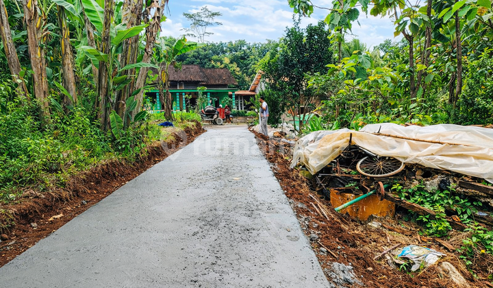 Tanah 175 Juta Dekat Pasar Mojogedang Karanganyar Tanah 175 Juta Dekat Pasar Mojogedang Karanganyar