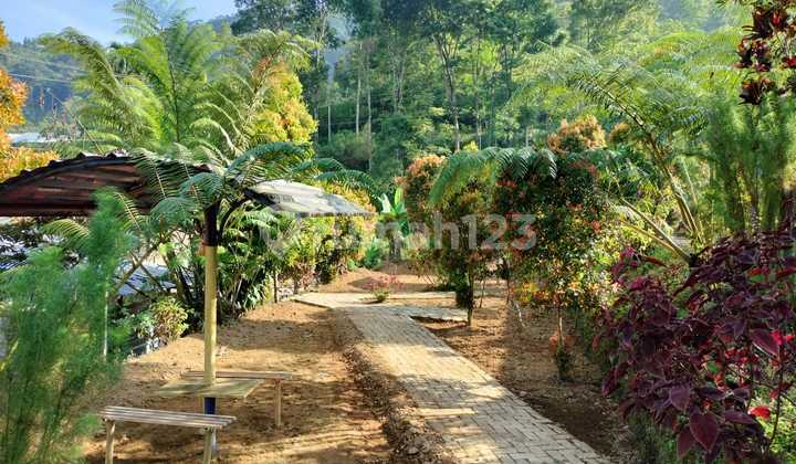 Tanah Cocok Dibangun Wisata Kemuning, Karanganyar (Solo) 2
