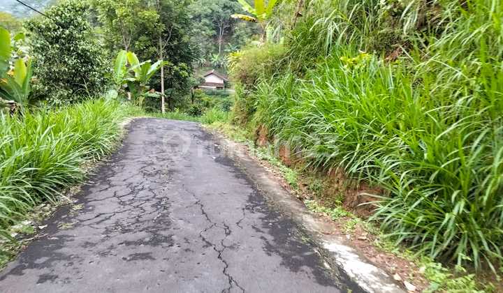  Tanah 90 Juta Udara Dingin Ngargoyoso  
