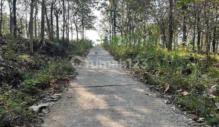 Tanah Murah 2311m 350Jt Kerjo Karanganyar Tanah Murah 2311m 350Jt Kerjo Karanganyar