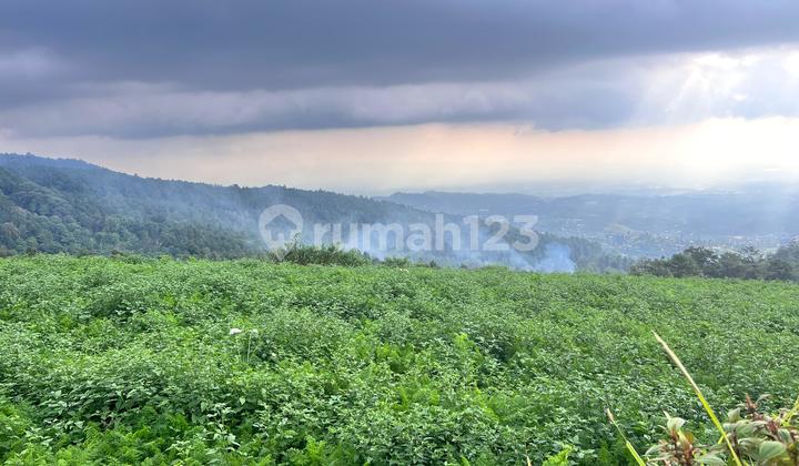 Flat Land Tourist Area 650m Kemuning Karanganyar